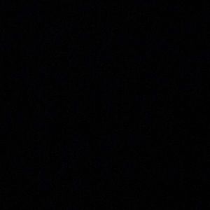 Meet your Posher, Rosie